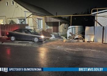 В Пинске вынесли приговор пьяному бесправнику, сбившему 23-летнюю девушку