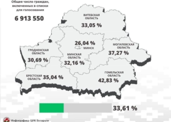 Досрочно проголосовали на выборах уже больше 35 % жителей Брестчины