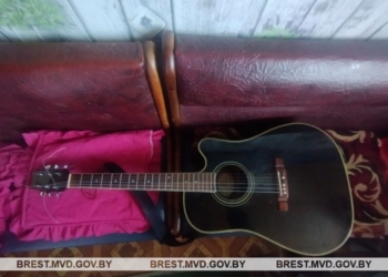 Украл гитару, но наслаждаться музыкальными аккордами не собирался