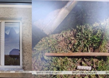 Применил садовую тяпку не по назначению. Ущерб — 110 рублей