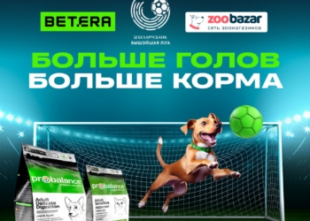 Betera Pets — масштабная акция помощи бездомным животным