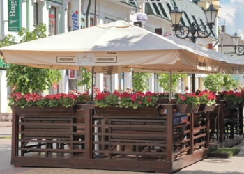 Цветы – родному городу