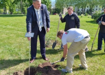 В Городском саду Бреста высажена аллея «Единство»