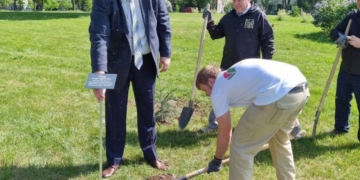 В Городском саду Бреста высажена аллея «Единство»