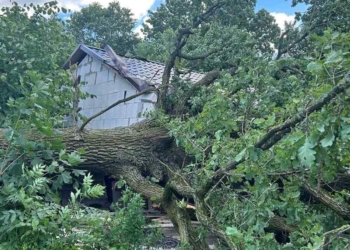 Непогода на Брестчине добавила забот жителям и работникам МЧС