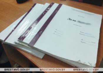 75 тысяч рублей «увела» бухгалтер с предприятия в Барановичах