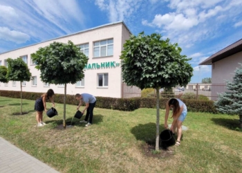 В Бресте объявлена экологическая акция «Полей дерево»