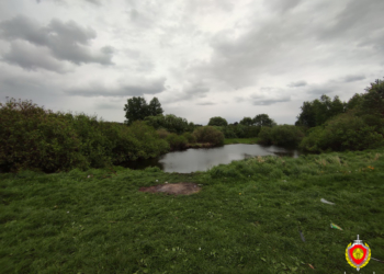 В Ляховичском районе в искусственном водоеме дети обнаружили боеприпасы