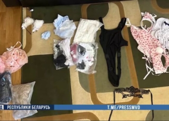 Жительница Барановичей оставила учебу ради заработка на порно