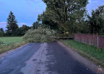 Последствия непогоды на Брестчине