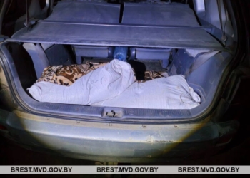 Борьба с «несунами» в сфере АПК продолжается