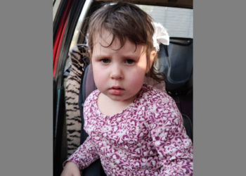 В Каменецком районе продолжаются поиски 4-летней Майи Любимцевой