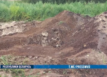 Кладовщица зерносклада ради сокрытия недостачи манипулировала документами