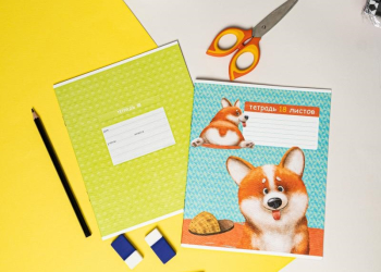 Скоро в школу! Полезные находки из Fix Price