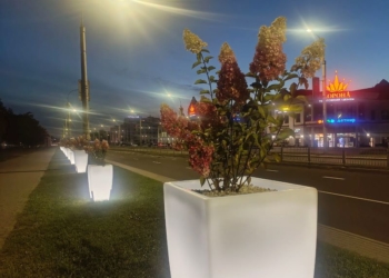 Брестский рейтинг. Аллея из высоких вазонов с гортензиями украсила границы городского сада