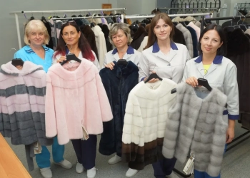 Шубы остромечево