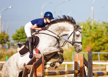 Красота и грация на фестивале «Конная фиеста», который сейчас происходит в Бресте. Фоторепортаж