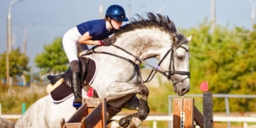 Красота и грация на фестивале «Конная фиеста», который сейчас происходит в Бресте. Фоторепортаж