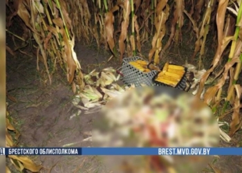 В Лунинецком районе незаконная охота обернулась трагедией