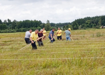 В Березовском районе прошел фестиваль «Споровские сенокосы»