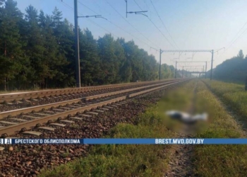 В Бресте поезд сбил 16-летнюю девушку