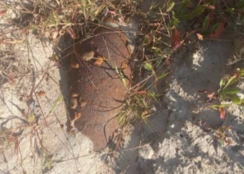 В Пинском районе обнаружен снаряд времен войны