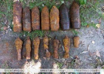 В Пружанском районе обнаружены снаряды времен ВОВ