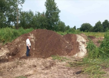 В Лунинецком районе сгнило более 51 тонны зерна — уголовное дело