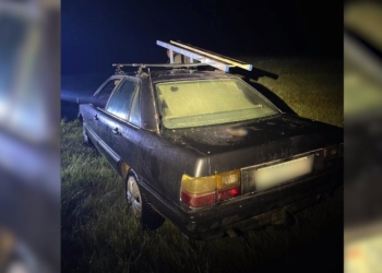 Брестские пограничники изъяли беспилотник в приграничье с Польшей