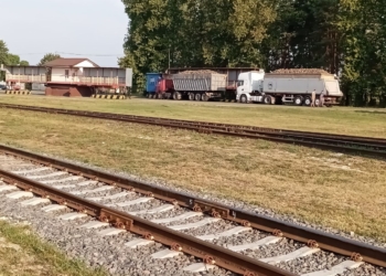 сахарная свекла