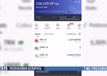 Наторговал на 100 тысяч: выявлен криптовалютчик-нелегал