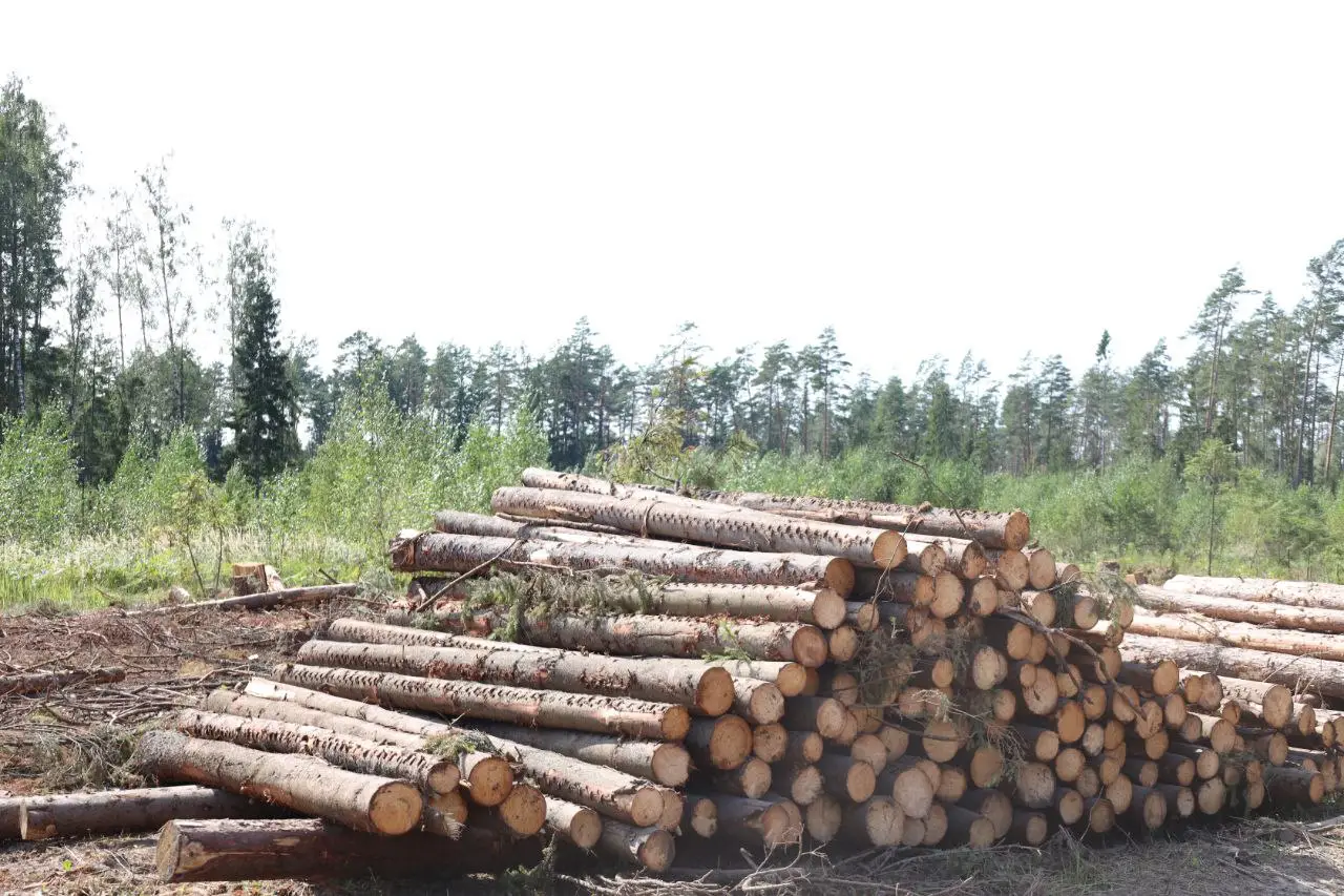 Брестский лесхоз