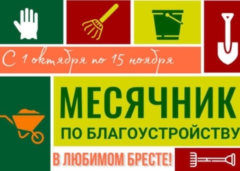 Горисполком призывает брестчан включиться в месячник по наведению порядка