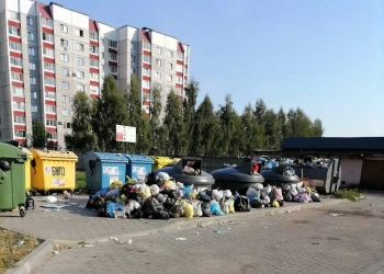 Советской Конституции, 28 Мусорная площадка