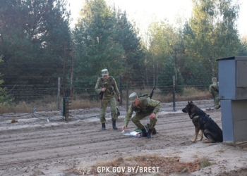 Лучшую тревожную группу органов пограничной службы определили в Бресте