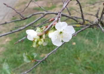 Улыбка календаря