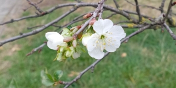 Улыбка календаря