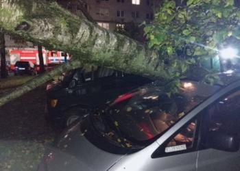 Последствия вчерашней непогоды в Бресте и районе