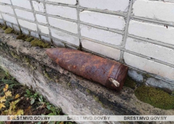 Вместе с корнеплодами выкапывают снаряды времен ВОВ