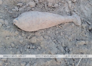 В Ляховичском и Пружанском районах обнаружены боеприпасы времен ВОВ