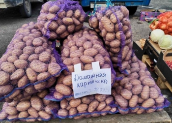 Сегодня в Бресте ярмарка, продолжаем делать запасы на зиму