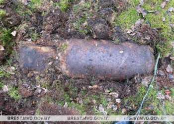 Боеприпасы времен Великой Отечественной продолжают находить на Брестчине