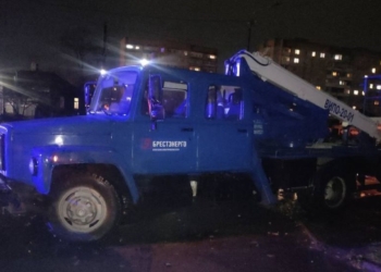 Вчера на перекрестке Фортечной и Красногвардейской в Бресте дерево упало на линию электропередачи