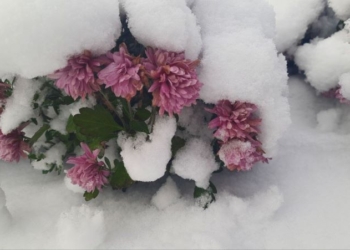 Зима подкралась незаметно… Фотосюжет