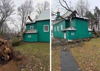 Дерево упало на церковь в Каменецком районе