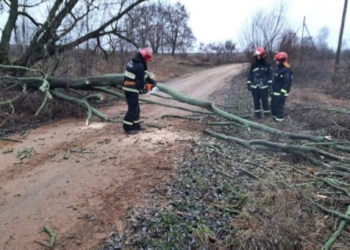 В Беларуси ликвидируют последствия сильного ветра