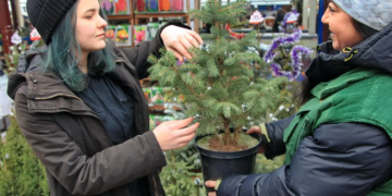 Елочный базар