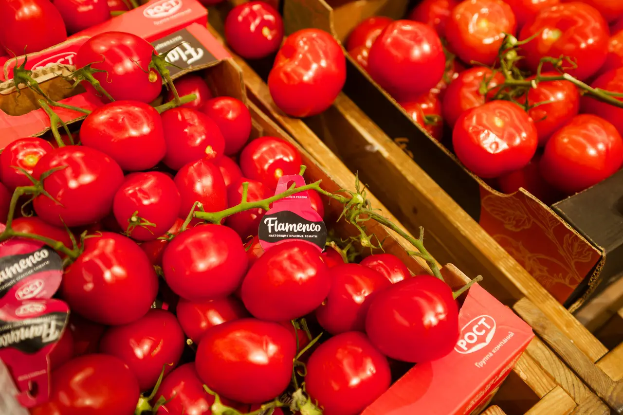 Помидоры