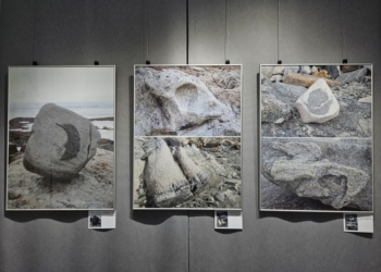 Живые камни Антарктиды. Холодная история