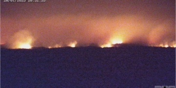 В Дрогичинском районе случился первый пожар в экосистеме Беларуси в наступившем году